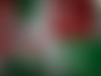 LDS naujų narių paroda | 2025