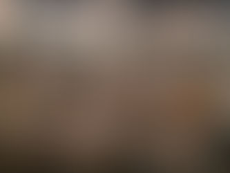 Kristinos Čivilytės personalinė tapybos paroda „Gyvastis“