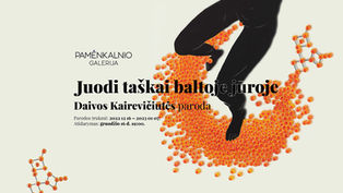 Daivos Kairevičiūtės paroda „Juodi taškai baltoje jūroje“
