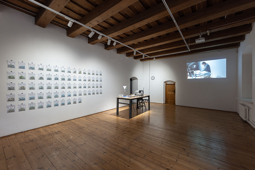 Giedriaus Akelio nuotr.