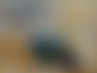 Vidas Poškus. MERGAITĖS, PASIAUKOJUSIOS DRAKONUI. VANDENS ŽAIDIMAI