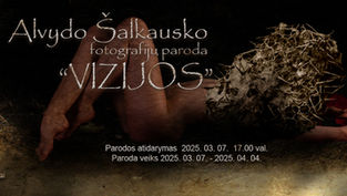 Alvydo Šalkausko foto montažų paroda „Vizijos“