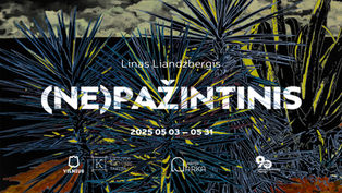 Linas Liandzbergis | (Ne)Pažintinis