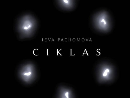 Ievos Pachomovos keramikos darbų paroda „Ciklas“