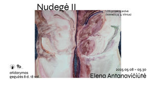 Elenos Antanavičiūtės paroda „Nudegė II“
