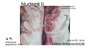 Elenos Antanavičiūtės paroda „Nudegė II“