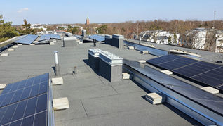 Palangos Dailininkų namų renovacija