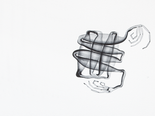 Sabīne Vernere „Bestiairies“ 