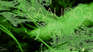 Karolina Ūla Valentaitė | Sąaugos / Adhesions