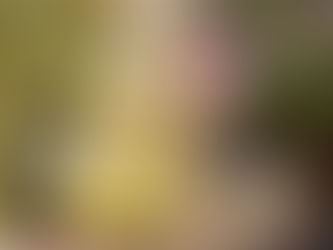 Kseniyos Rabavos kūrybinis projektas: Gyvenimas horizontaliai