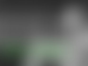 Evaldas Jansas „MOrka. memai“