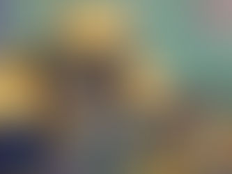 Broniaus Gražio ir Arvydo Ališankos paroda (PO)MIŠKIS 3