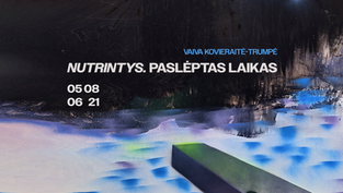 Vaivos Kovieraitės-Trumpės paroda „Nutrintys. Paslėptas laikas“ Klaipėdos galerijoje