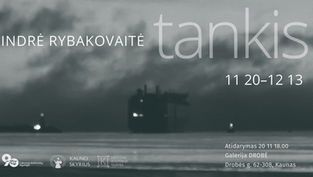 Indrės Rybakovaitės paroda "Tankis"