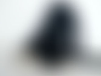 Vakarų Vokietijos dailininkų sąjungos menininkų paroda „NeDiskretiška: intymumo problema“