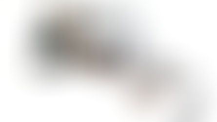 2023 m. Lietuvos dailininkų sąjungos Dailės Fondas įgyvendino projektą MONUMENTALIEJI SUVENYRAI