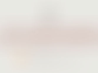 Metinės ataskaitinės konferencijos dienotvarkė