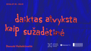 DANUTĖS VAITEKŪNAITĖS PARODA „DAIKTAS ATVYKSTA KAIP SUŽADĖTINĖ“