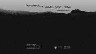 Praradimai: vaizdas, garsas, erdvė | Paulina Turauskaitė galerijoje „Drobė“