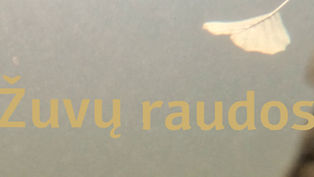 Dainos Pupkevičiūtės paroda „Žuvų raudos“ galerijoje „Meno parkas“