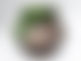 Socialinio projekto „Lipdau pasaulį ir save“ dalyvių keramikos paroda