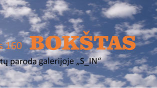 Nauja paroda galerijoje S_IN | „BOKŠTAS“