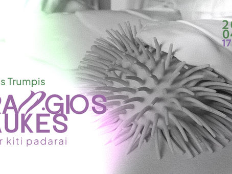 Dainius Trumpis „Brangios kaukės ir kiti padarai“ | Skulptūrinių objektų paroda