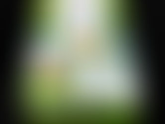 Green Homes to win $5000 furniture vouchers