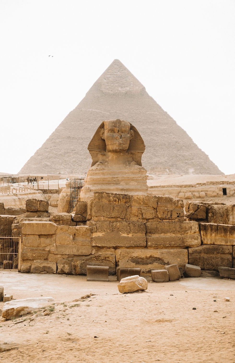 The Sphinx of Giza in front of the Pyramid of Khufu