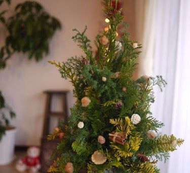 アドベント祈祷会 『闇と光』