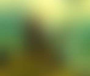 信徒懇談会「信仰の杖」