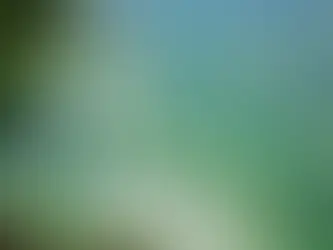 Here’s What to Know About Toxic Blue-Green Algae If That Viral TikTok Has You Spooked