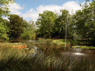 A picture of one of the lakes at Wooling Hill Memorial Estate