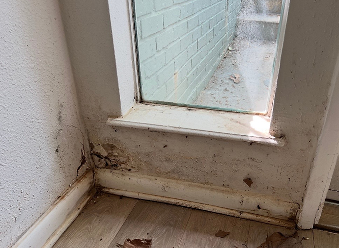 drywallbefore.png