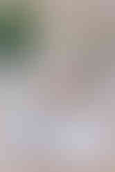 Northern Utah Lifestyle newborn photographer