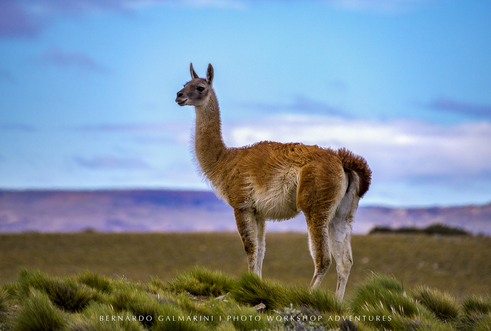 PHOTO TOURS BUENOS AIRES