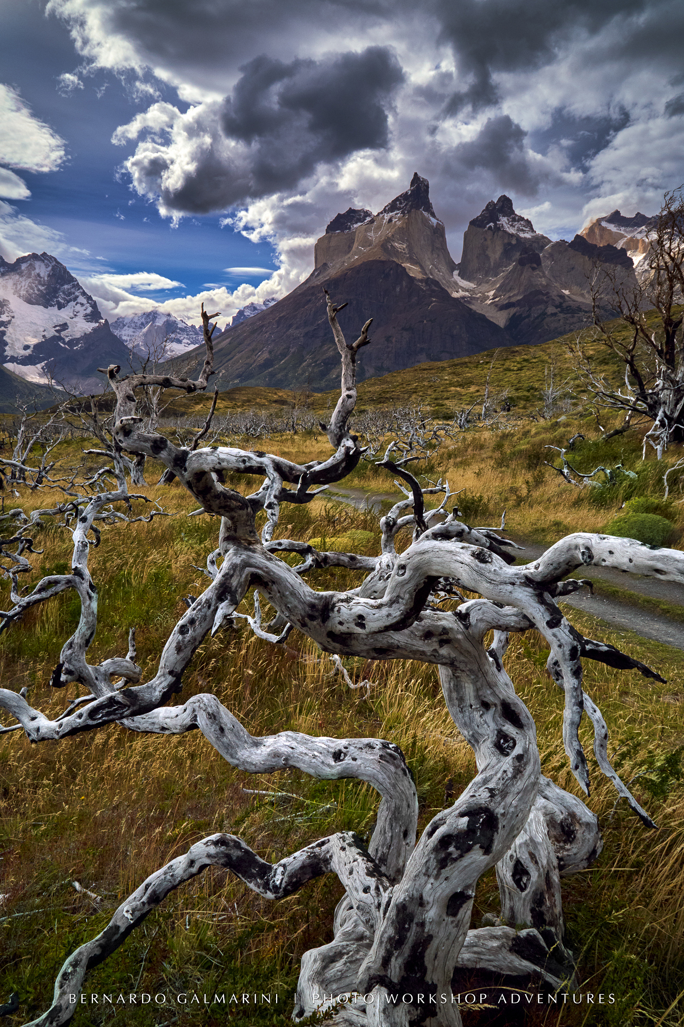 PHOTO TOURS BUENOS AIRES