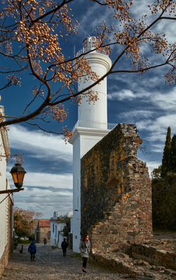 PHOTOGRAPHY TOURS IN COLONIA DEL SACRAMENTO