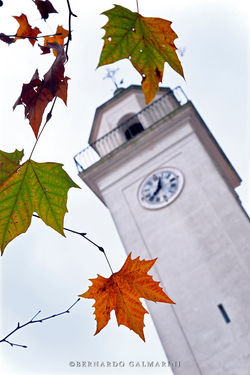 PHOTOGRAPHY TOURS IN COLONIA DEL SACRAMENTO