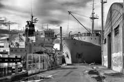 © Bernardo Galmarini