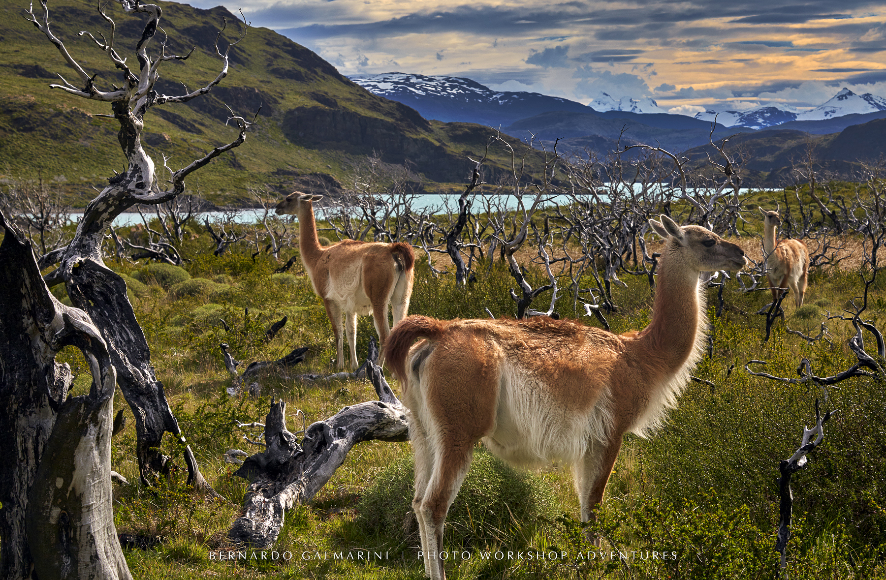 PHOTO TOURS BUENOS AIRES