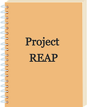 Innovation Notebook_edited.png