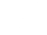 Logo plante orange