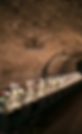 IMG_8323A.png