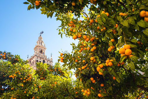 andalusia-picture-id491366802-1