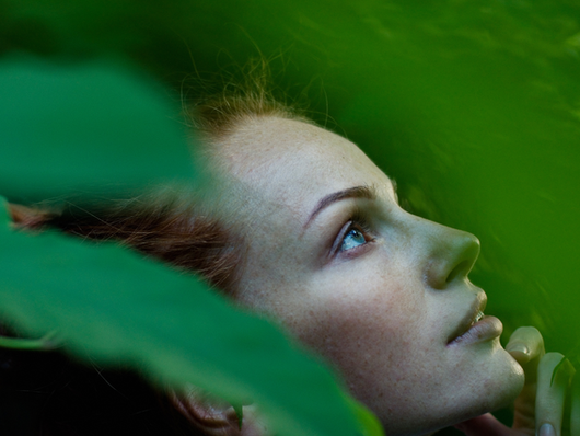 The importance of the regenerative leader