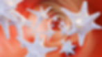 platelet ET.jpg