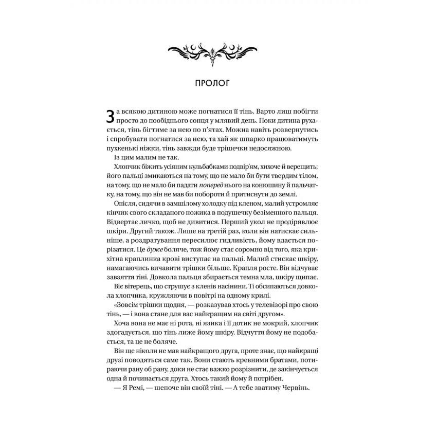 Прев'ю: Книга ночі