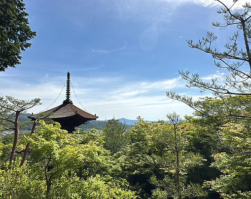 Photo of an old Japanese shrine