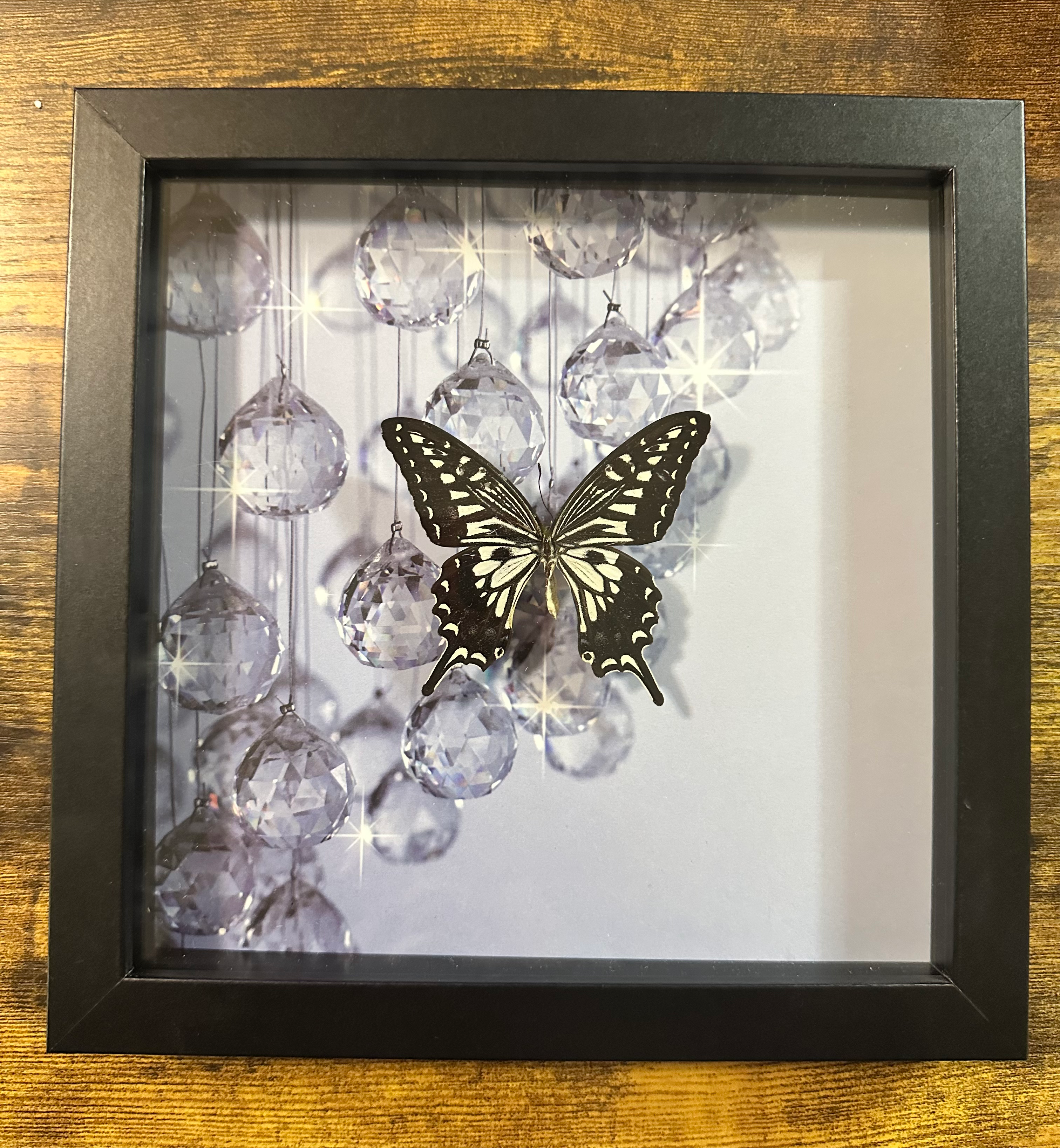Framed Butterflies